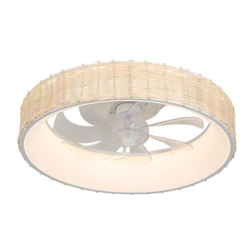 Ventilateur de plafond moderne silencieux contre la chaleur estivale avec LED variable