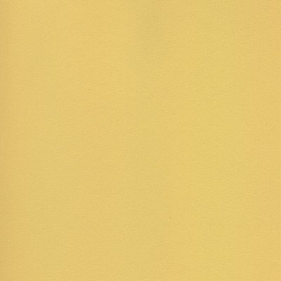 Colourfix Rich Beige Sanded Pastel Paper 12.5x9.75 Inch Sheet