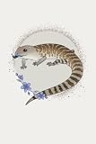 Blue Tongue Skink Notebook Journal
