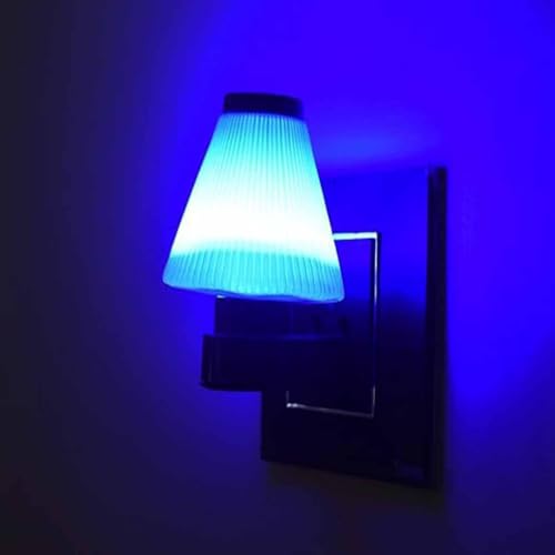 Image of GURUSOAMI Small Lamp Type 2 Pin LED Night Lamp 0.5 Watt Plug & Play Bulb For Bedroom, Living Room, Zero Watt Light Direct Socket Use For Night (Blue, 2)