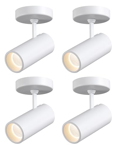 Image of LED Dimmable Indoor Ceiling Spotlight, Hardwire Directional Fixture