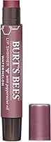 Burt's Bees Lip Shimmer, Watermelon, 1 Tube, 2.6 Grams