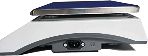 Pec Tools Digital Counting Scale - Digital Inventory Scale For Packages And Mail - Weight Counting Scale For Coins And Small Parts - Heavy Duty Scale - 33Lbs #TOP4