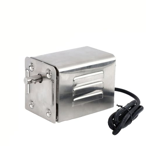 Jurtmy Moteur de barbecue pour rôtissoire SP-S40 220 V - En acier inoxydable - Accessoire de barbecue - Machine électrique d'extérieur
