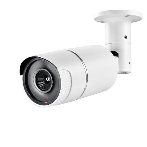 24224 fotocamera finta con LED lampeggiante