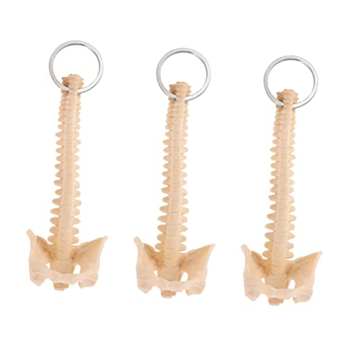 iplusmile 3pcs Human Spine Model Novelty Keychain Keychain Spine Keyring Spine Ring Plastic Pendant Keychain Model Ring Cars Toy Puzzle Decorate Child Pvc