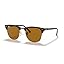 Havana / B-15 Brown