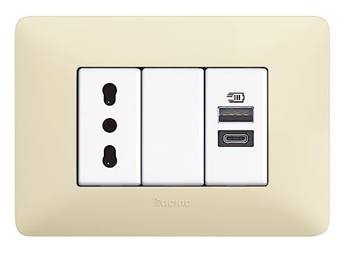 Chargeur USB Bticino AM4191AC Type A+C encastrable Matix 15W blanc - 3