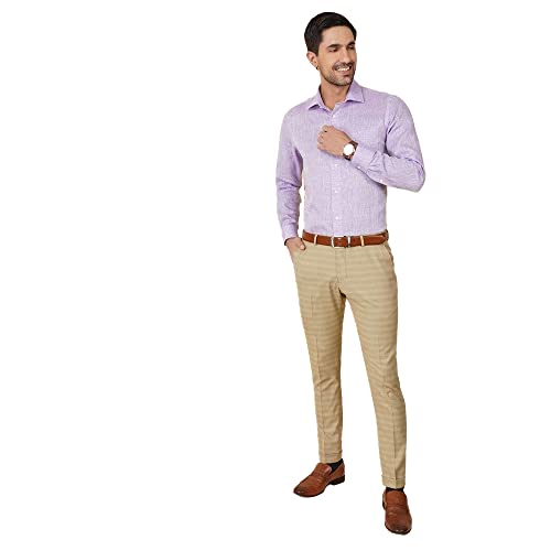 Image of blackberrys Stripes Polyester Viscose Slim Fit Mens Trousers (S22BB45A2IS22F1-P)