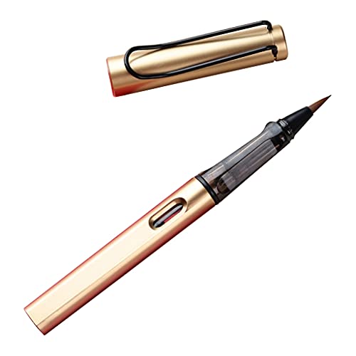 DUESI Stylo à plume rechargeable pour calligraphie et peinture Noir