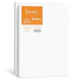 Kit com 2 Telas para Pintura Souza & Cia 30x40cm – Algodão 100% com Chassi de Madeira – Souza – Ideal para Iniciantes, Escola e Ateliê (Kit com 2 Telas – 30x40cm)