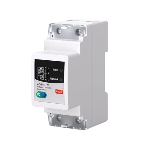 Disjoncteur 2P 63A intelligent pour piloter toute la maison via Life App