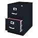 26.5 in. Deep Vertical Legal Size, 2 DWR File Cabinet, Black