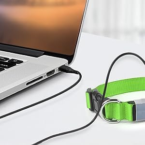 Super reflective light up rechargeable LED dog collars, 5 options in 3 sizes. Adjustable - Image 3