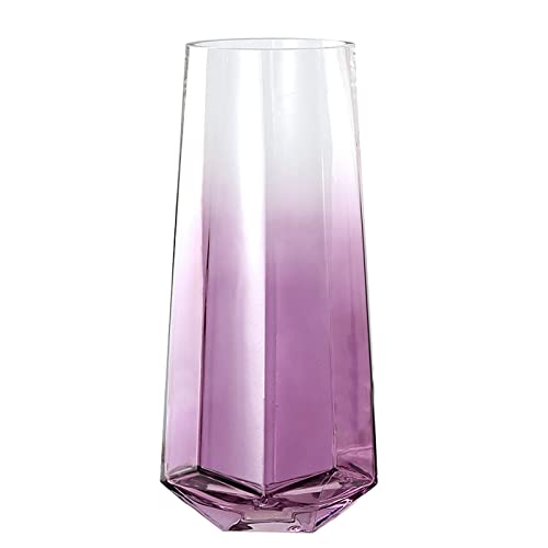 Laughhe Glasvase, Kristallklar Durchscheinend Vasen 25cm Hoch Blumenpflanze Knospenvasen, Blumenvase Schwere Glasblumenvase Dekorative Vase für Zuhause Büro Dekor (Lila) Laughhe Glasvase, Kristallklar Durchscheinend Vasen 25cm Hoch Blumenpflanze Knospenvasen, Blumenvase Schwere Glasblumenvase Dekorative Vase für Zuhause Büro Dekor (Lila)