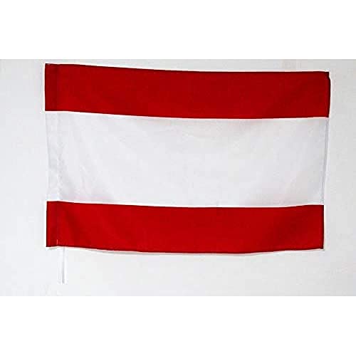 AZ FLAG - Tahiti Flag - 2x3 Ft - Tahitian Banner with Sleeve - 100% Polyester - Fade Resistant - Vivid Colors - 2' x 3' Feet - 90x60 Cm