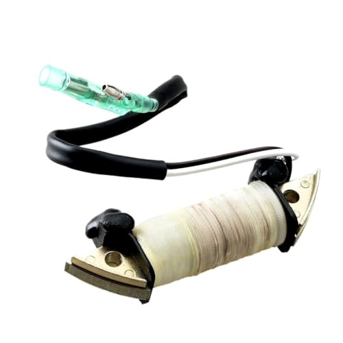 Bobine moteur hors-bord 4HP 5HP pour résoudre les pannes de démarrage