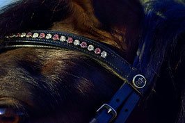 Crownclub Mirabell gebisslose Trense Sidepull rosa