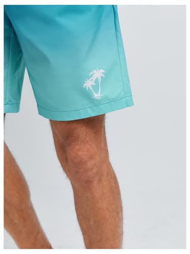 Floerns Men's Drawstring Waist Graphic Beach Shorts Quick Dry Board Shorts with Pocket4