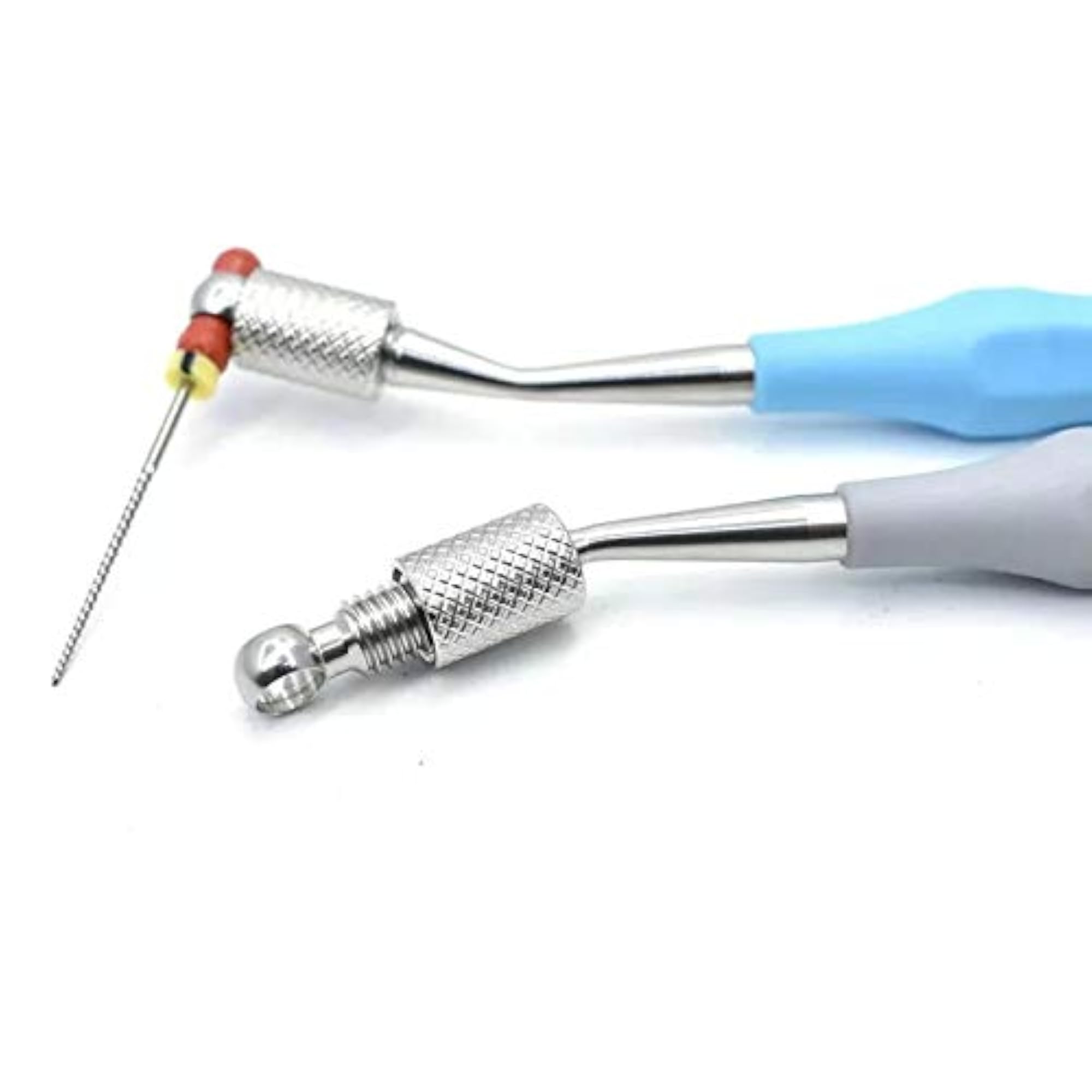 Endodontics Files Holder Dental Endo File Organizer