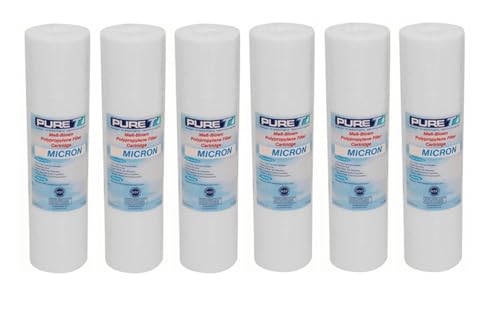 IPW Industries PureT GCB0987020 Water Sediment Filter, 9.75x2.5 inches, 20 Micron, 6 Pack