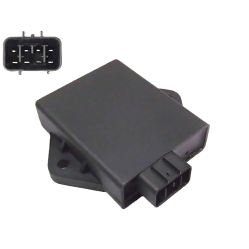 Boîtier CDI YFM 250 Bear Tracker 2x4 2001-2004 allumage haute performance moto quad