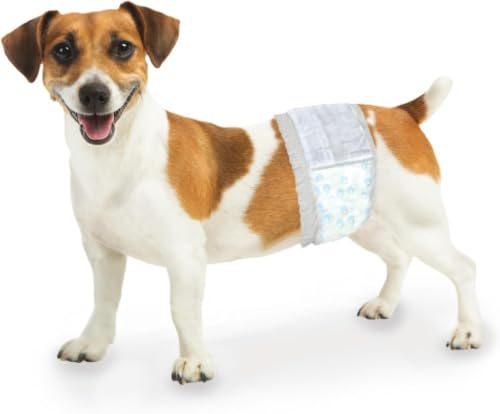 Image of Four Paws Wee-Wee Super Absorbent Disposable Adjustable Dog Potty Training Male Wraps Diapers, Leak-Proof Protection for Puppies and Small Dogs, Extra Small, 36 Count (Pack of 8)
