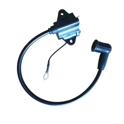 Bobine d'allumage haute tension 1E40F-3Z pulvérisateur à dos 3WF-3 42cm³