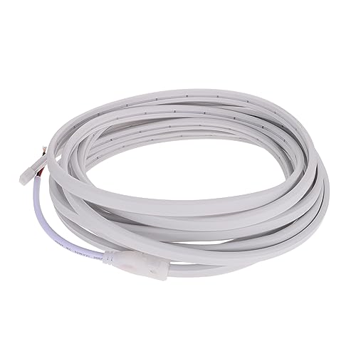 BCOATH Neon Lamp Strip Lights Led Decorative Lights Strips 12v for Indoor Outdoor Use