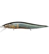 Amazon.co.jp: メガバス(Megabass) VISION ONETEN SR FA ゴースト