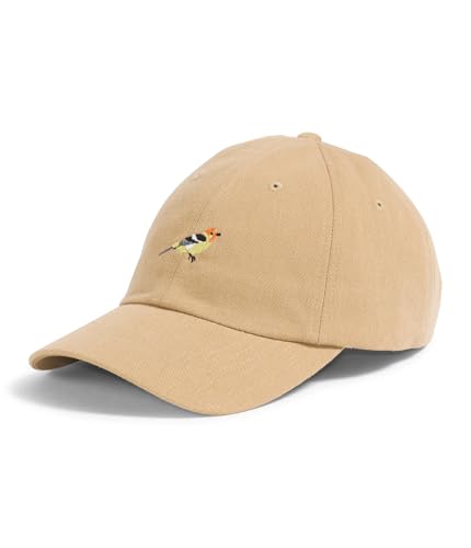 Image of THE NORTH FACE Norm Hat