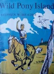Wild Pony Island [Unknown] B0006AW28M Book Cover