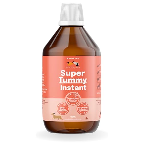 Buddy & Lola Dog Diarrhea Treatment with Electrolytes - 100ml Tummy Settler