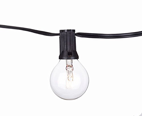 String Light Company Party Light 25-Ft Globe String Lights With 25 Sockets And 25 Clear G40 Bulbs, 18 Gauge Black Cord #TOP1