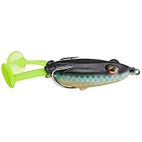 Amazon.com : Blitz Buzz Phrog™ GEN 2- Next Generation of The