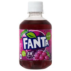 RJR[ t@^ O[v280mlPET×24{×i2P[Xj