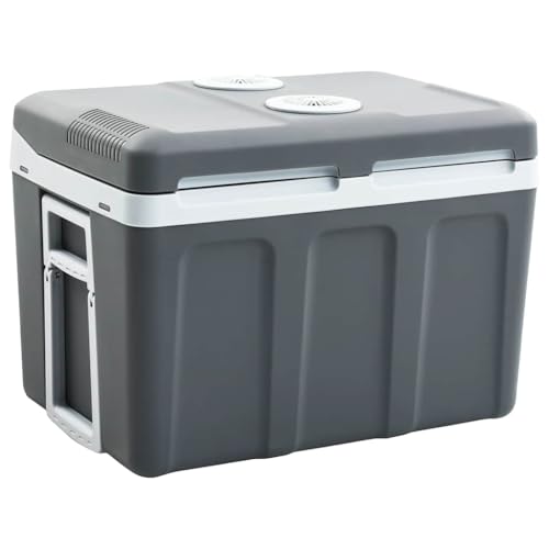 Teenpull Nevera termoeléctrica portátil de 40 L de polipropileno, 12 V y 230 V, conexión de red, portátil para camping, aire libre, coche y pícnic, mantiene la comida caliente, ahorra energía y es