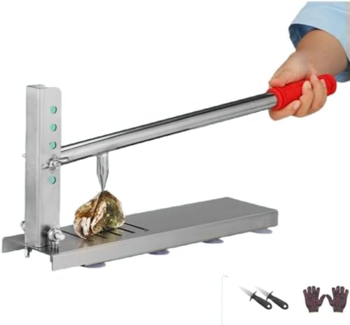 Barino y iCtv̉yc[ ƖpICX^[VF[pc[X[c ICX^[iCtAICX^[I[vi[Avdl̉ykJAJ c[Ao[xL[ JL ()