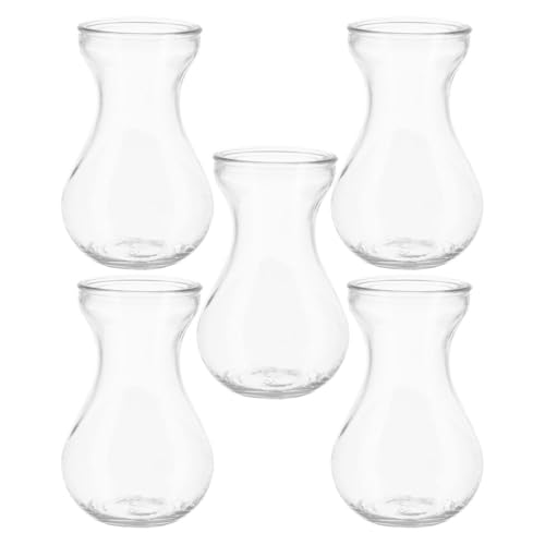 Alipis Lot de 5 petits vases en jacinthe en verre transparent pour décoration d'intérieur, centre de table, vase à bourgeons transparents pour plantes d'intérieur et utilisation hydroponique