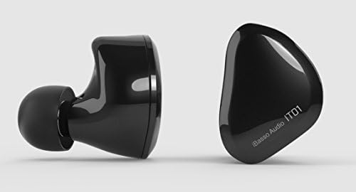 iBasso IT01 Dynamic Driver Audiophile MMCX Detachable IEMs in-Ear Headphones with (Black)