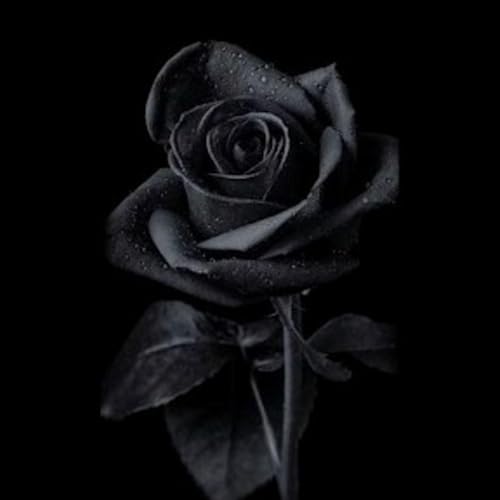 Pyar bhi kitna ajeeb hota hai....