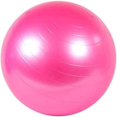 Ballon de Fitness Rose 55cm avec Pompe pour Pilates et Yoga
