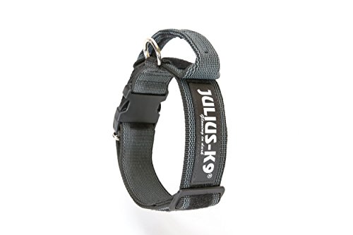 Julius-K9 Color and Gray Collar with Handle and Interchangeable Patch, 50 mm (49-70 cm), Black-Gray