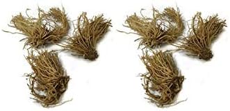 Miniatura 6 de La mejor oferta en Tienda Paquete de 9 plantas perennes de raíz desnuda Hosta - Frescas de nuestra granja enviadas rápidamente directamente a ti.