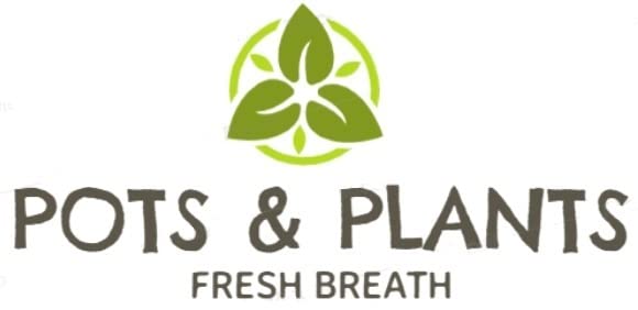 Pot's & Plant's Plastic Grower Pot Multicolor, 6 inch, Combo of 10 Colourful Grower Pot (Normal Nursery Pots)