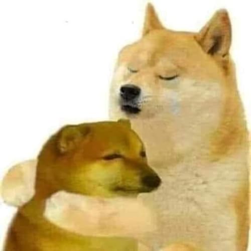 Misguided youths and misleaded dogs ! Solution to the dog problem !! - #AskFans