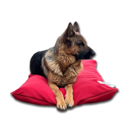 Dorian Home - Cuccia Cane Interno Taglia Grande, Media e Piccola - Cuscino Cane e Gatto Sfoderabile e Lavabile, Extra Imbottito e Morbido - Cuscino per Cani e Gatti Antimacchia Resistente ai Graffi