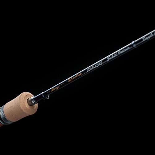 Amazon | 天龍（テンリュウ）レイズ スペクトラ RZS51LL-BC | 天龍 