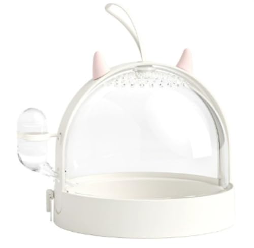 WOLKKAM nX^[P[W eCNAEgP[W gfr S[fxA VK[OC_[pi ȑ AEgP[W (zCg)