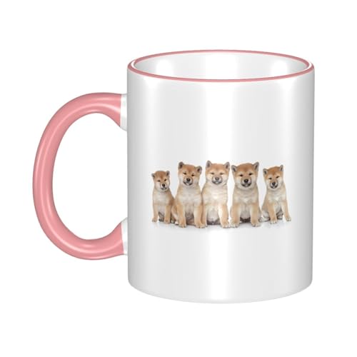 Jbv Č  q ▭ȃt@bV [Jbv Mtg ㎿Ȑ ItBX ̕Ki